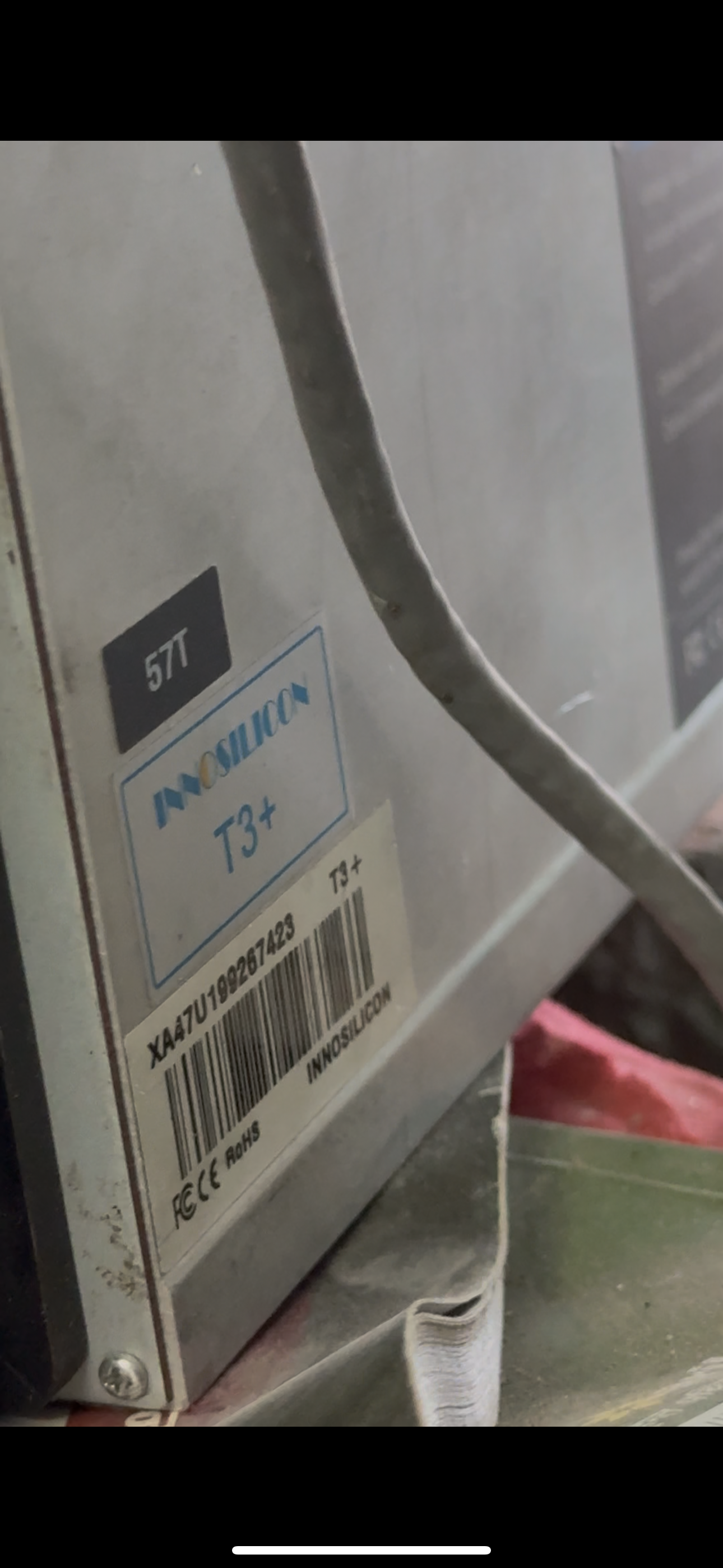 Innocilocan T3+ 57TH. 4month old