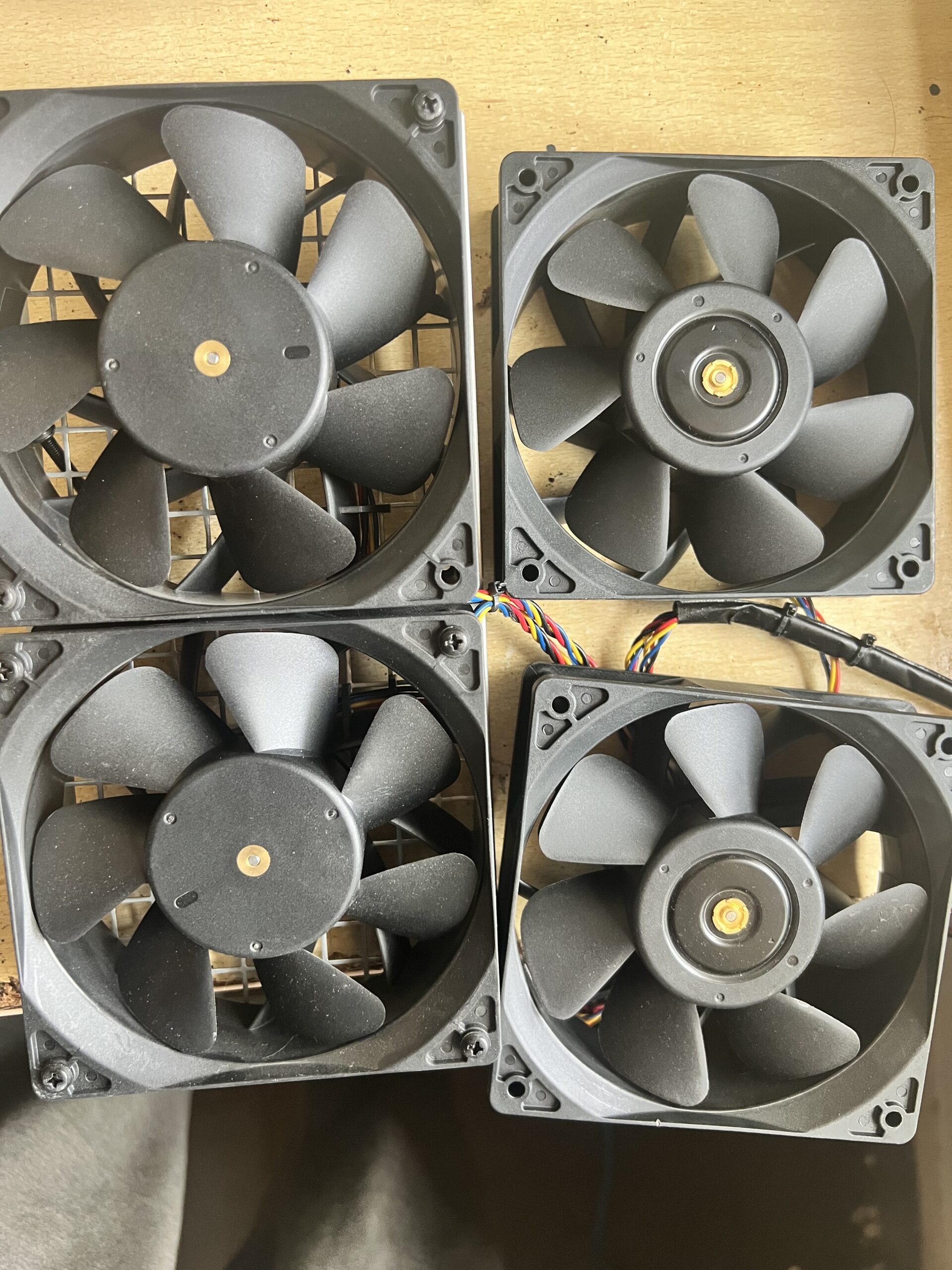 S19kpro brand new fan